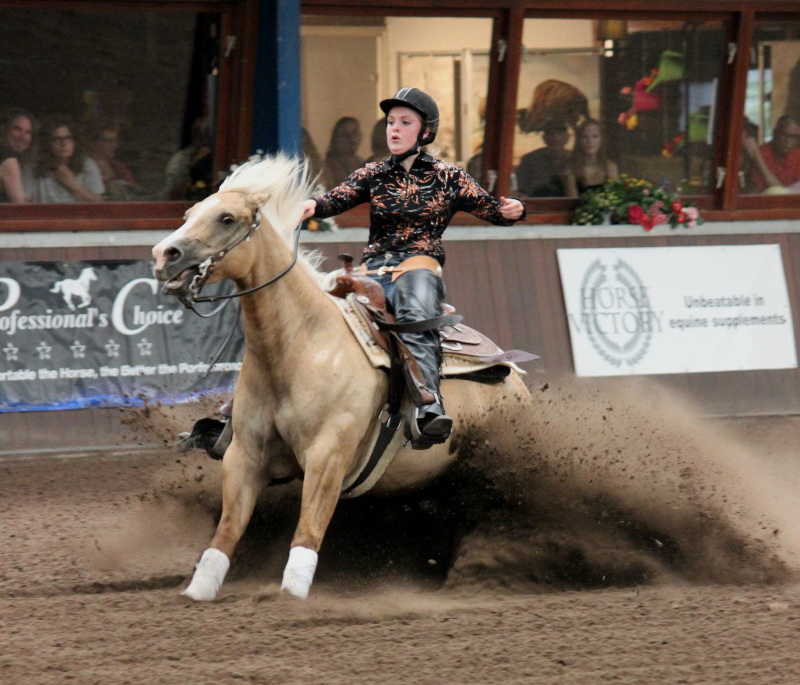 NK Reining editie 2014