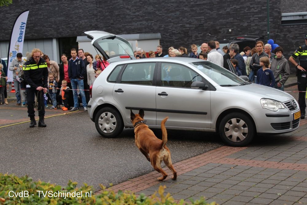artikel politie 5