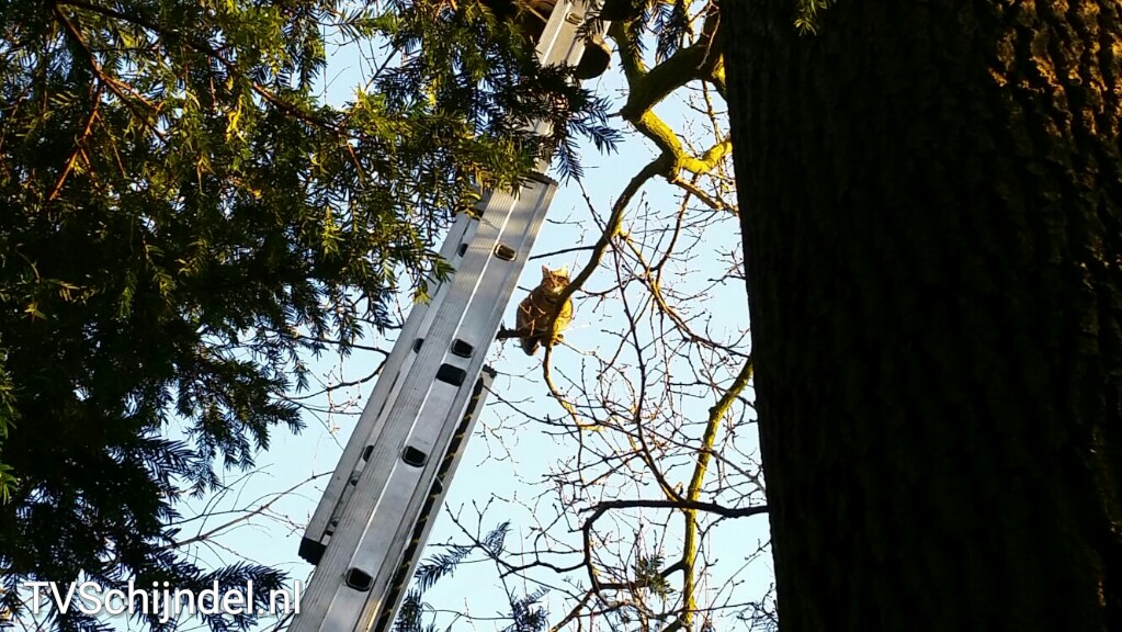 2932016 kat in boom 1