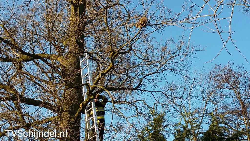 2932016 kat in boom 3