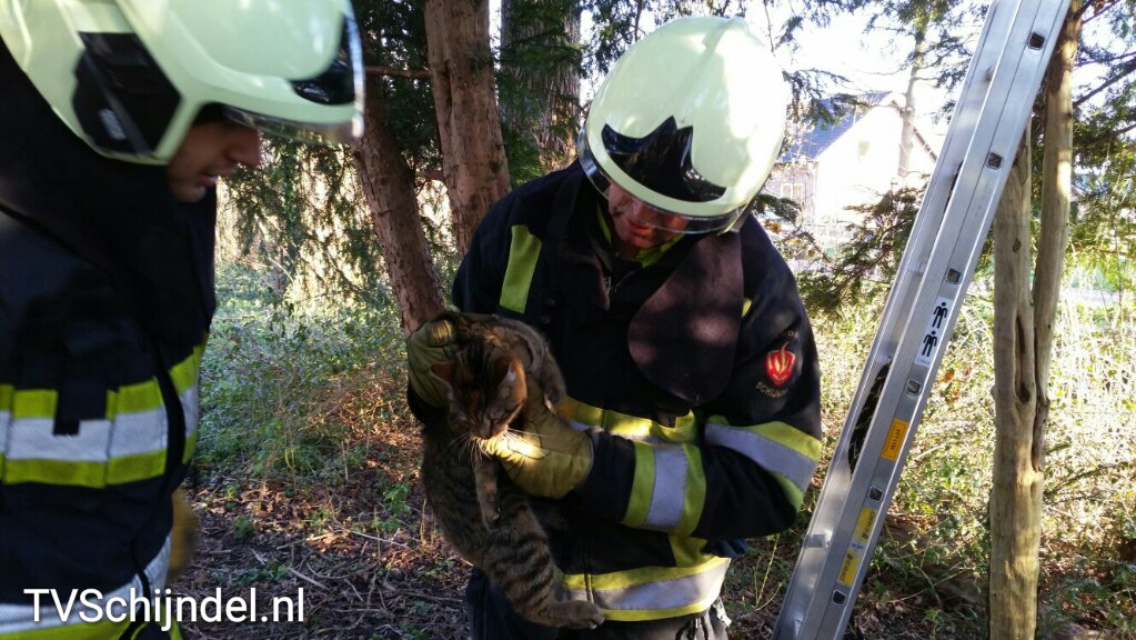 2932016 kat in boom 5