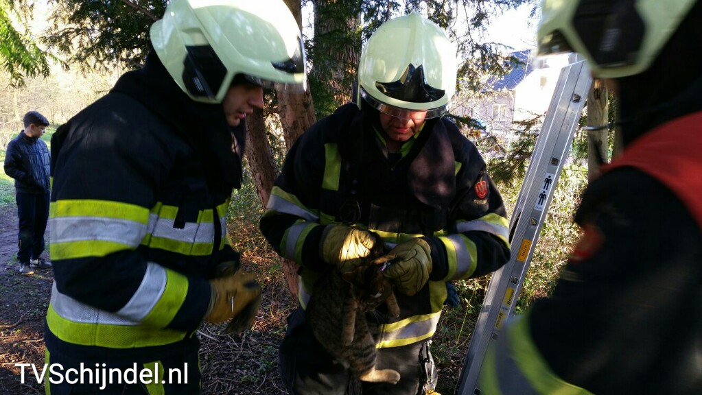 2932016 kat in boom 6