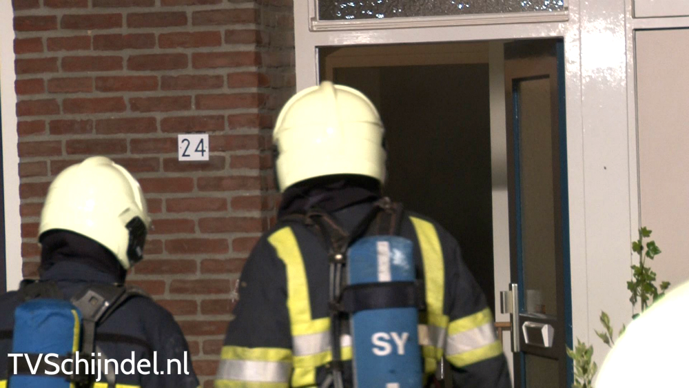 1645rozenplein2