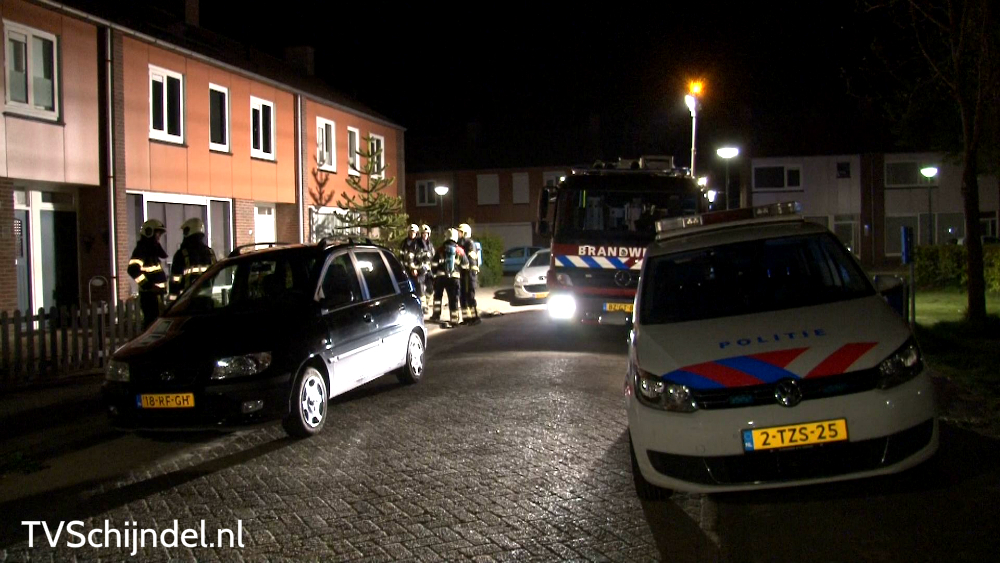 1645rozenplein4