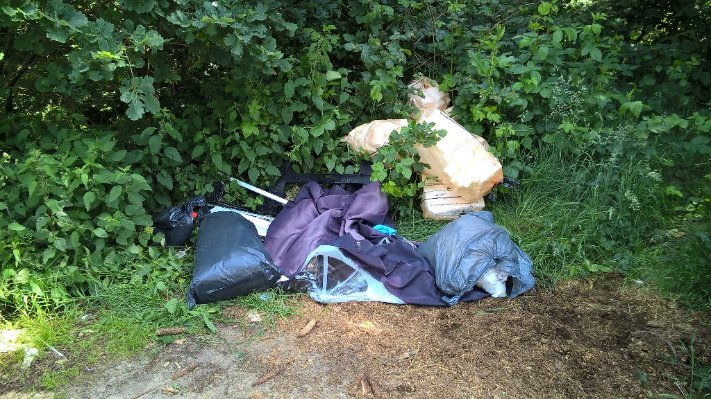 13 sept dumping6