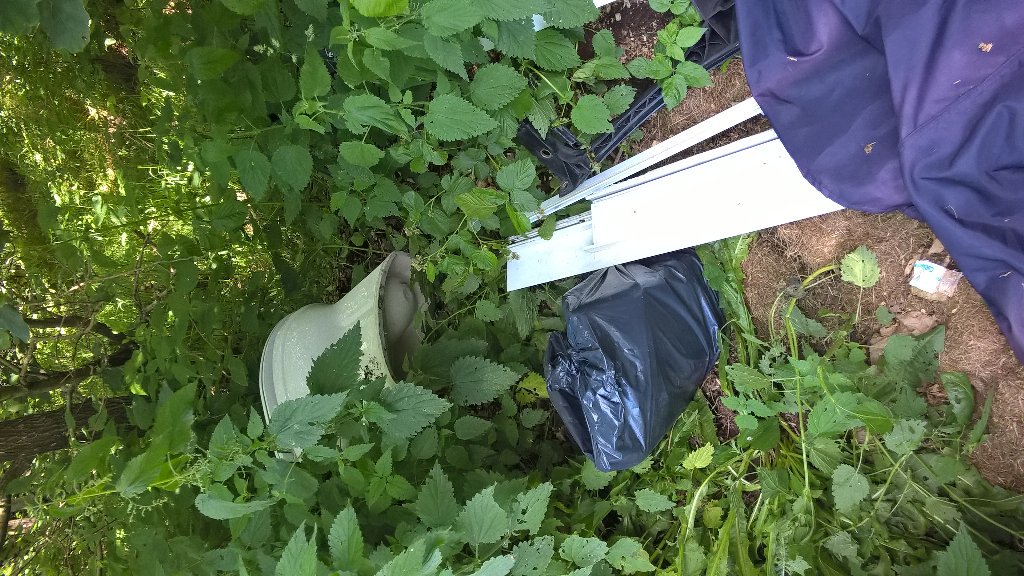 13 sept dumping7