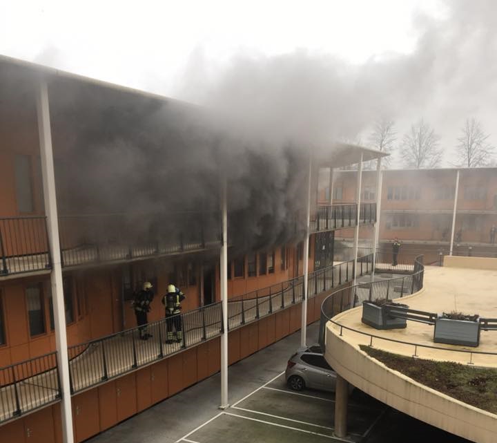 brand11