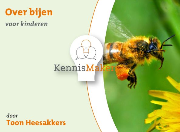 THeesakkers kinderen