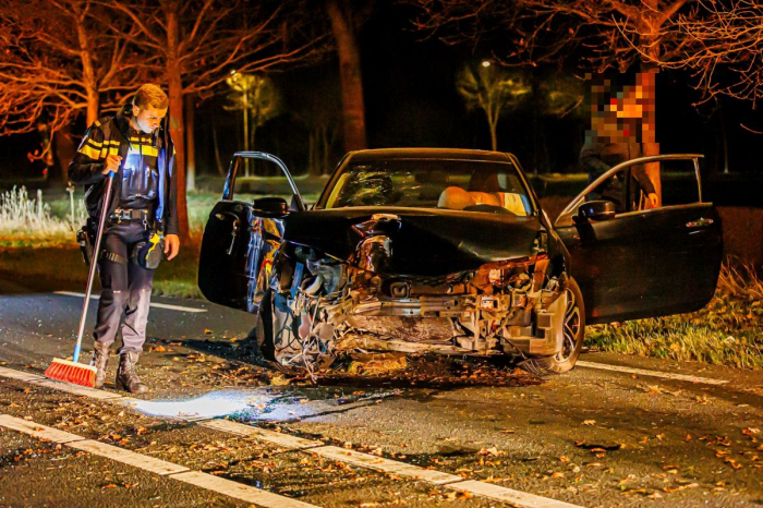 Auto rijdt tegen wegwijsbord en boom bij N617