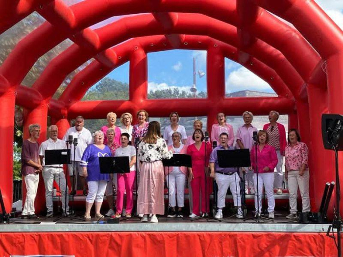 Popkoor No Nonsense viert twintigjarig jubileum