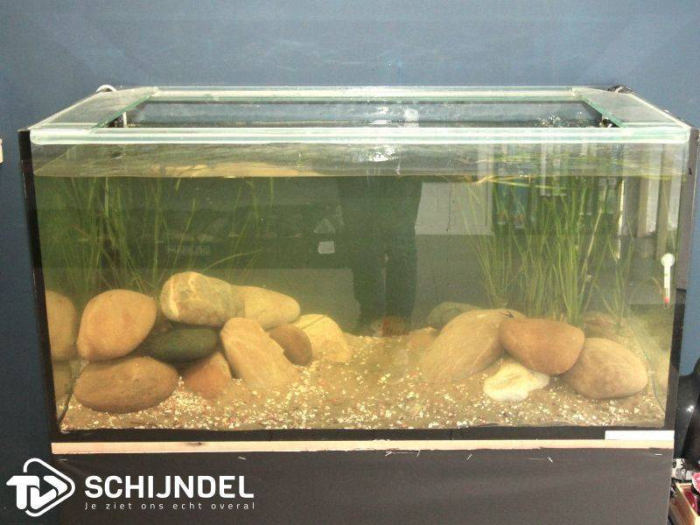 Opening nieuwe winkel Aqua Schijndel