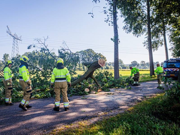 Schijndel ontwaakt: Opnieuw veel stormschade meldingen