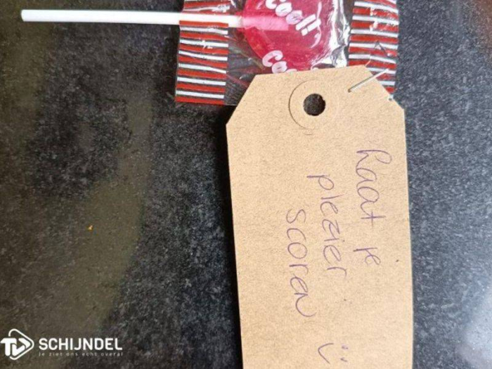 Ludieke actie bij Schijndel/DE WIT