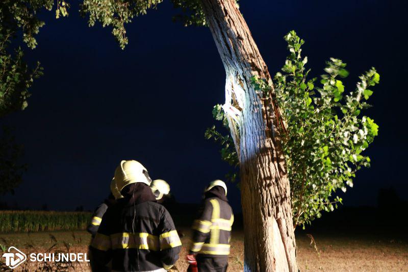 boomwoudseweg1