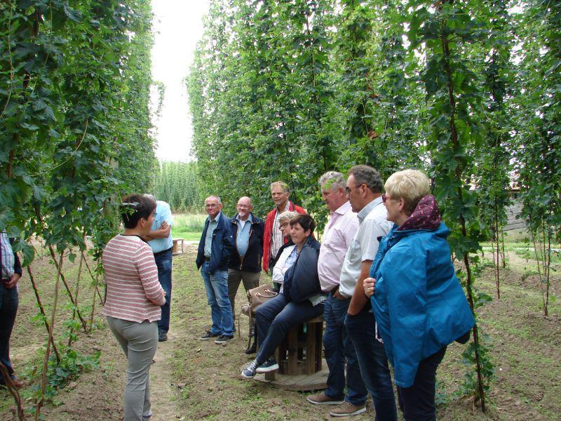 hopbelleke4