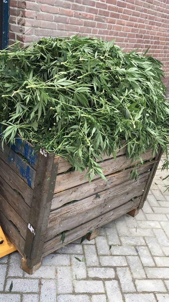 kwekerijLoods3