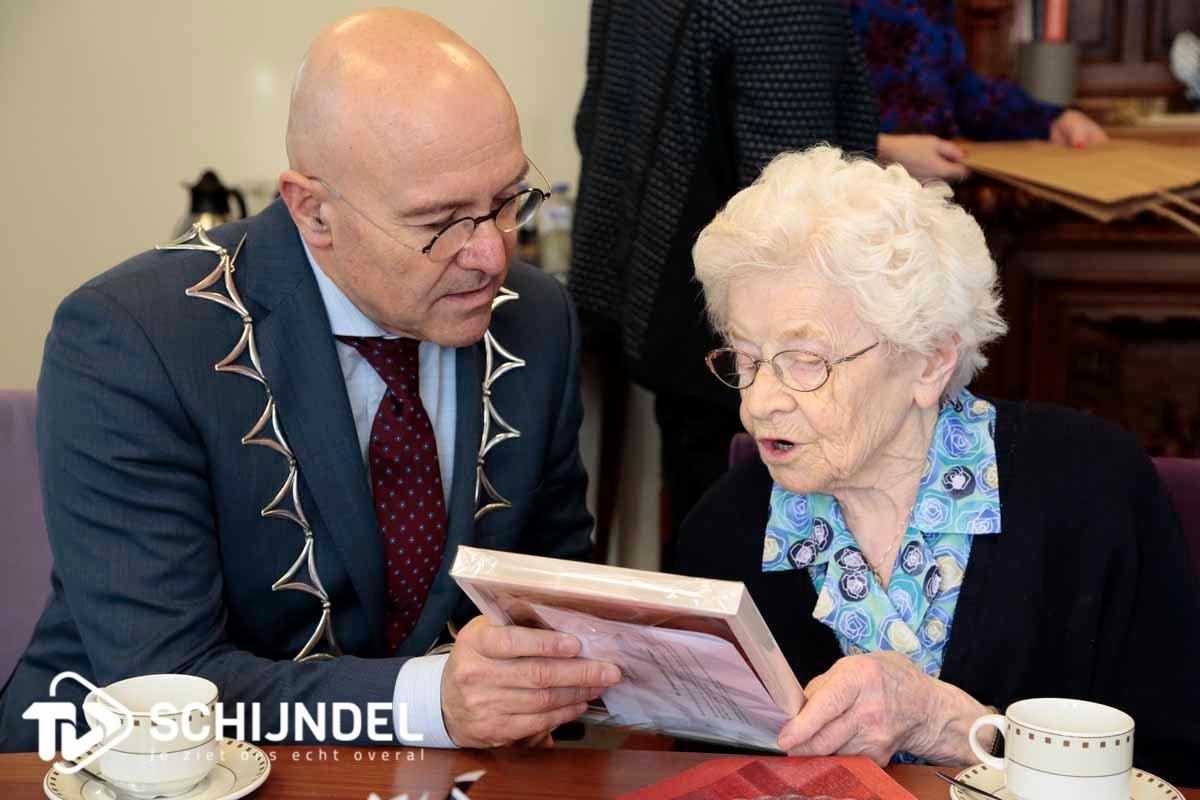 zrvdboomen11