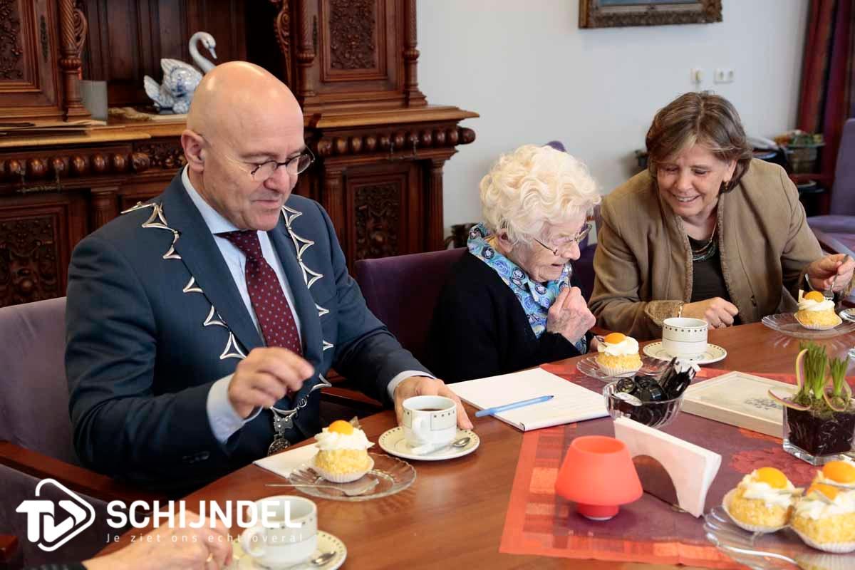 zrvdboomen3