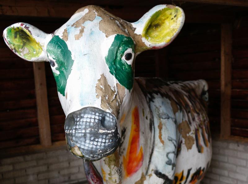 holycowkoe1