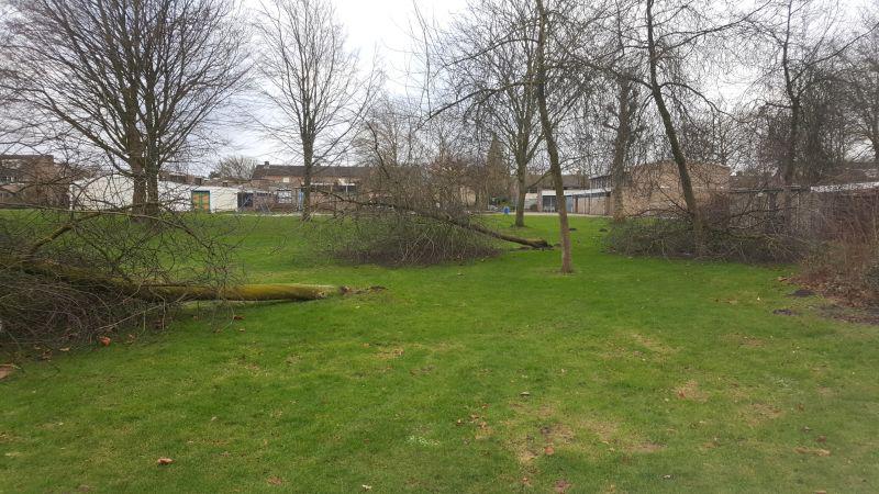 storm1