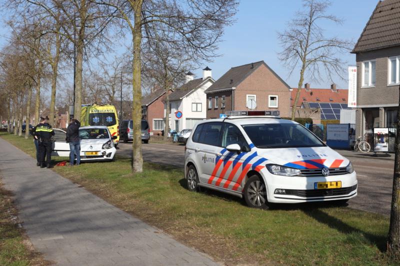 kopstaartbotsing2