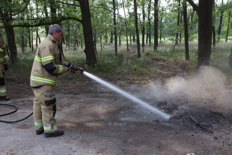 buitenbrandvlagheide4