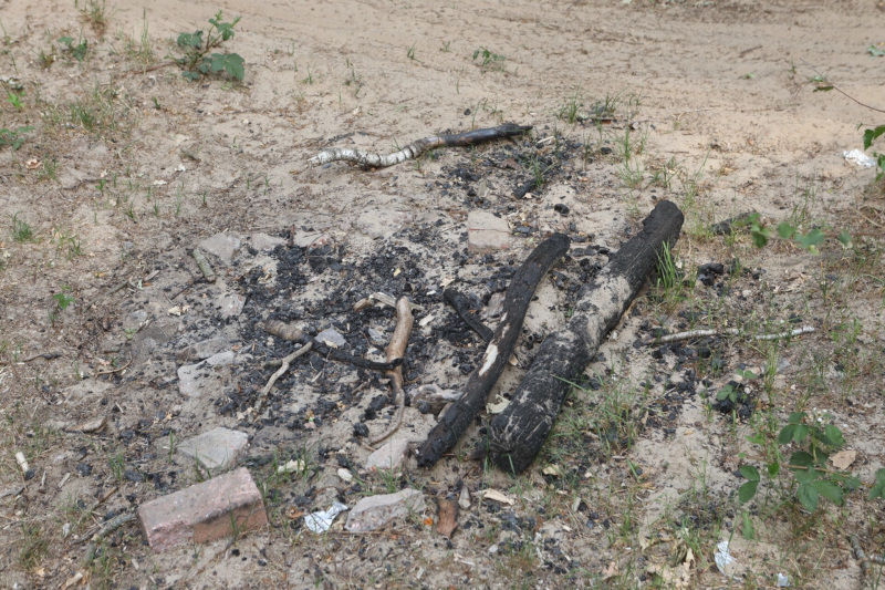 buitenbrandvlagheide6