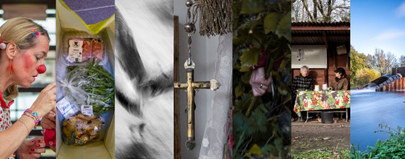 phoenixverhalenvertellen