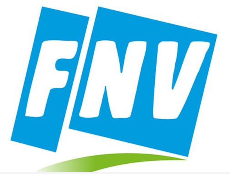 logo fnv