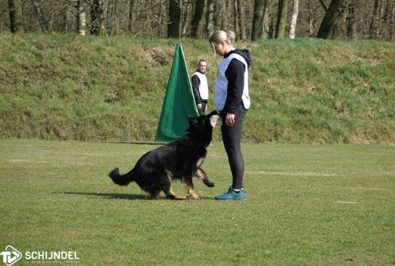 kringgroepkampioenschap