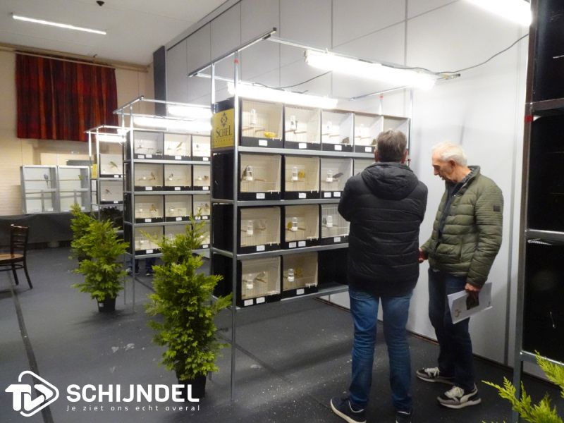 vogeltentoonstelling3 1