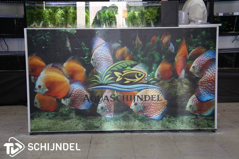 aquaschijndel1