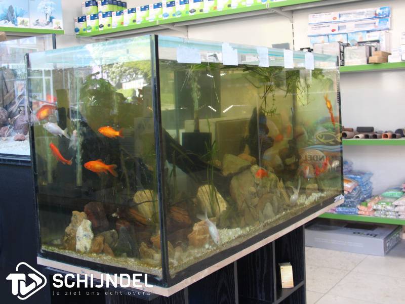 aquaschijndel4