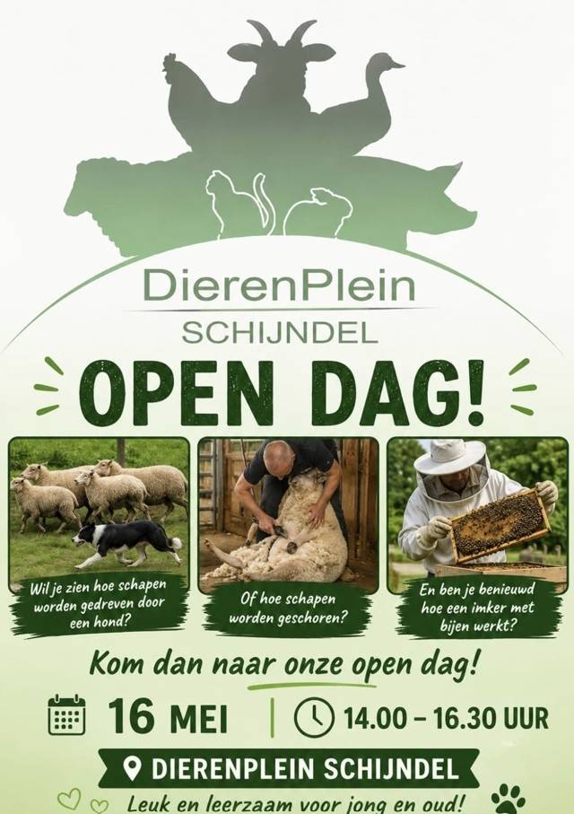 dierenpleinopendag