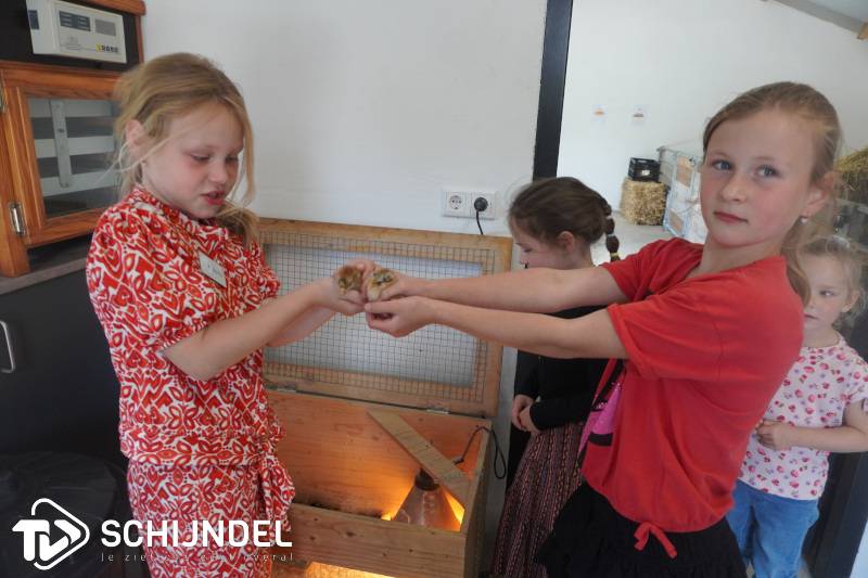 boerderijonsthuisopendag1