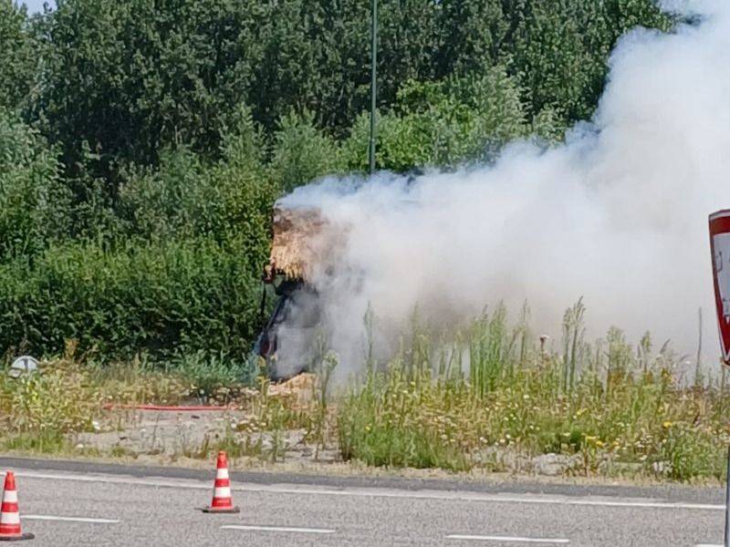 brand2