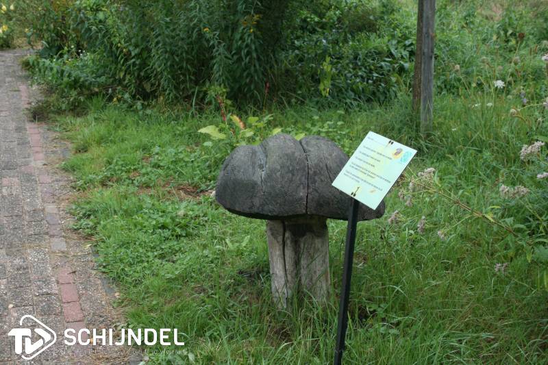 openwolatelierschaapskooi1