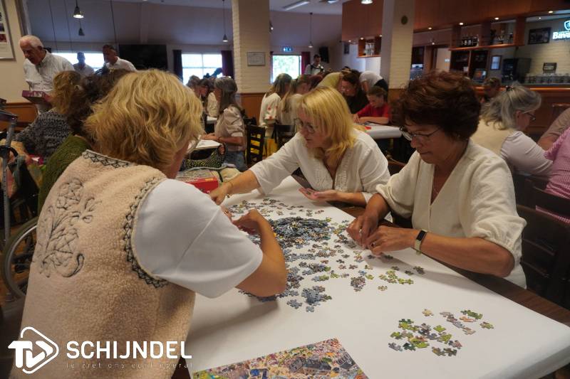 schijndelskampioenschappuzzelen1